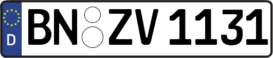 BN-ZV1131