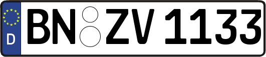 BN-ZV1133
