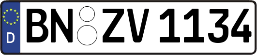 BN-ZV1134