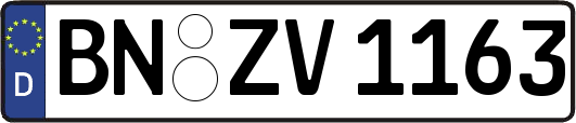 BN-ZV1163