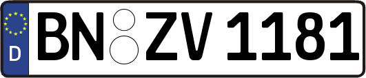BN-ZV1181