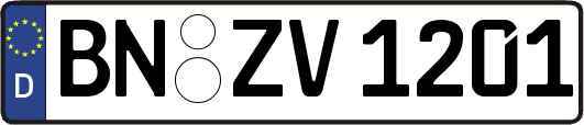 BN-ZV1201