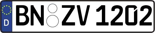 BN-ZV1202
