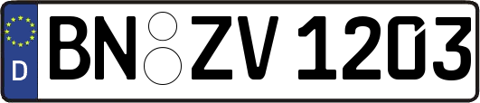 BN-ZV1203