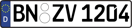 BN-ZV1204