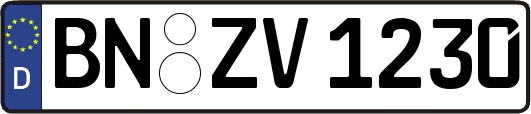 BN-ZV1230