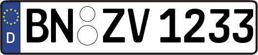 BN-ZV1233