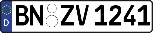 BN-ZV1241