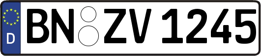 BN-ZV1245