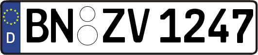 BN-ZV1247