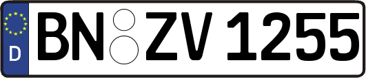BN-ZV1255