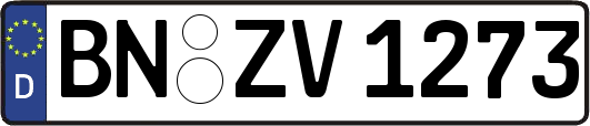 BN-ZV1273