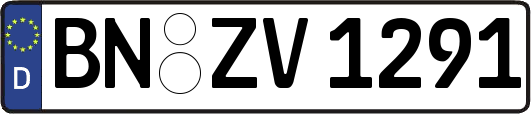 BN-ZV1291