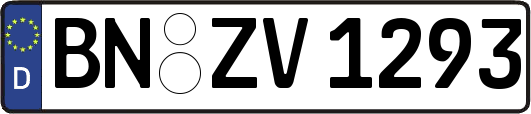 BN-ZV1293