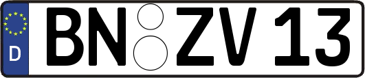 BN-ZV13