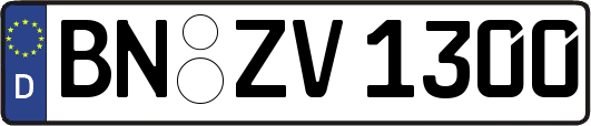 BN-ZV1300