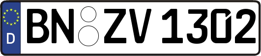 BN-ZV1302
