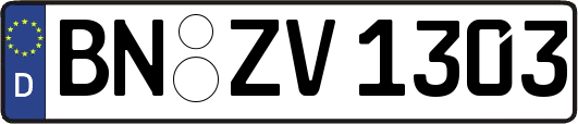 BN-ZV1303