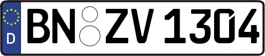 BN-ZV1304