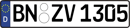 BN-ZV1305