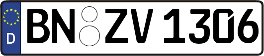 BN-ZV1306