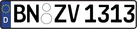 BN-ZV1313