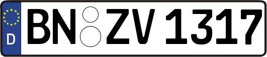 BN-ZV1317