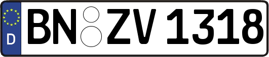 BN-ZV1318