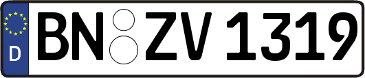 BN-ZV1319