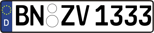 BN-ZV1333