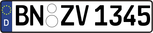 BN-ZV1345