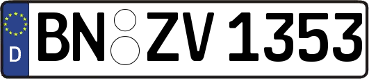 BN-ZV1353