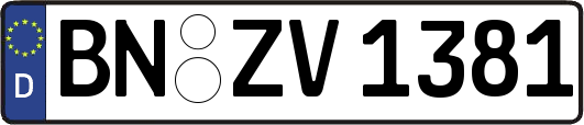 BN-ZV1381