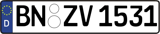 BN-ZV1531
