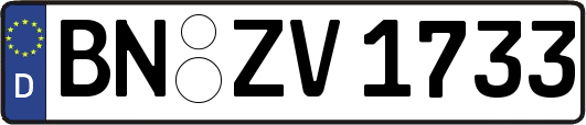 BN-ZV1733
