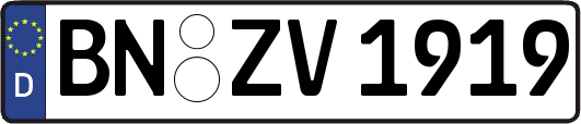 BN-ZV1919