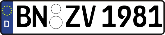 BN-ZV1981