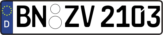 BN-ZV2103