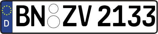 BN-ZV2133