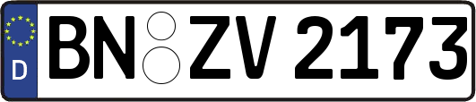 BN-ZV2173