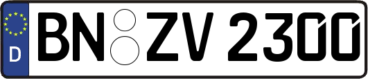 BN-ZV2300
