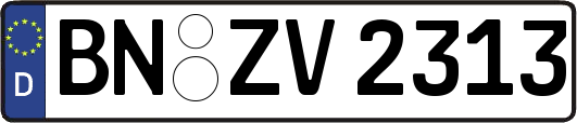 BN-ZV2313