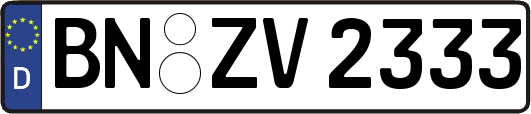 BN-ZV2333