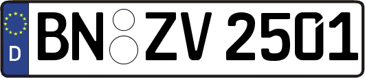 BN-ZV2501