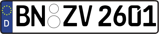 BN-ZV2601