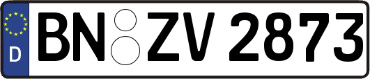 BN-ZV2873