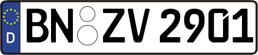 BN-ZV2901