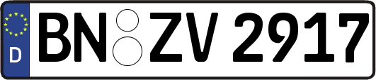 BN-ZV2917