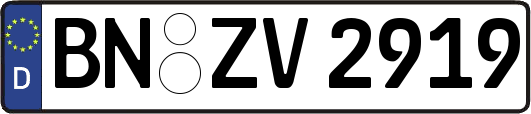 BN-ZV2919