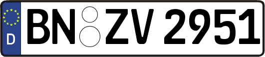 BN-ZV2951